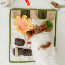 Carica l'immagine nel visualizzatore di Gallery, Cofanetto delle Feste Gioco & Salute (Edizione Limitata)