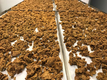 Carica l'immagine nel visualizzatore di Gallery, Crunchy al Tacchino per Gatti