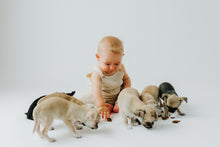 Carica l'immagine nel visualizzatore di Gallery, Crunchy Baby al Tacchino