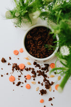 Carica l'immagine nel visualizzatore di Gallery, Crunchy Ricetta Invernale