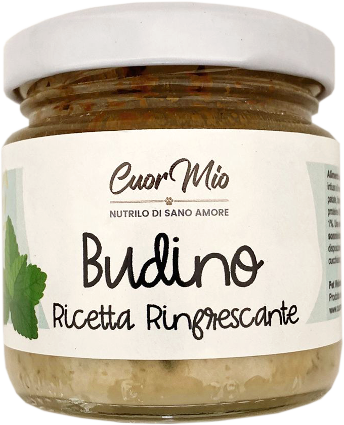 Budino Rinfrescante