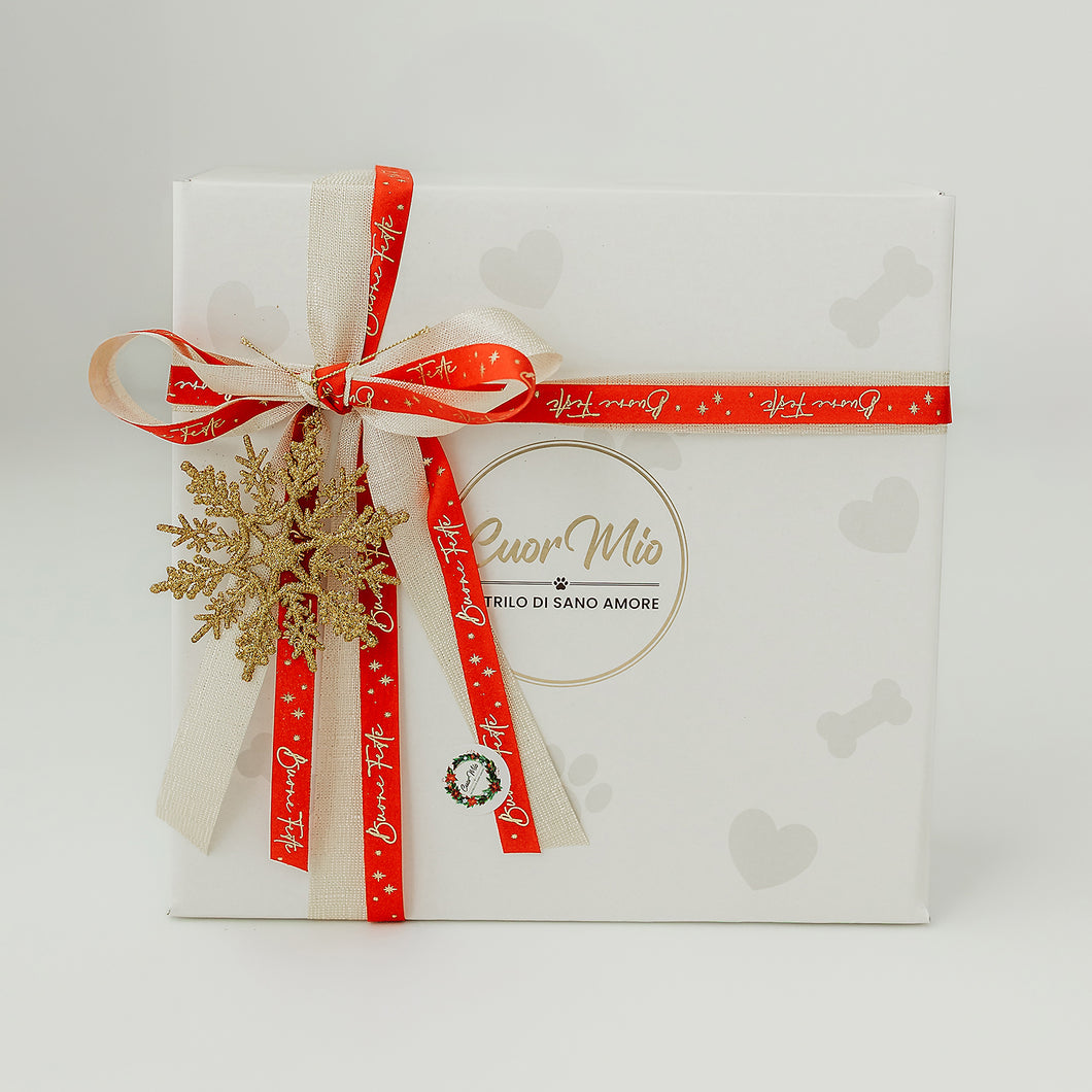 Cofanetto delle Feste Gioco & Salute (Edizione Limitata)